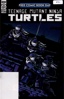 Teenage Mutant Ninja Turtles (FCBD 2022)