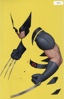Wolverine Vol. 8 # 1E